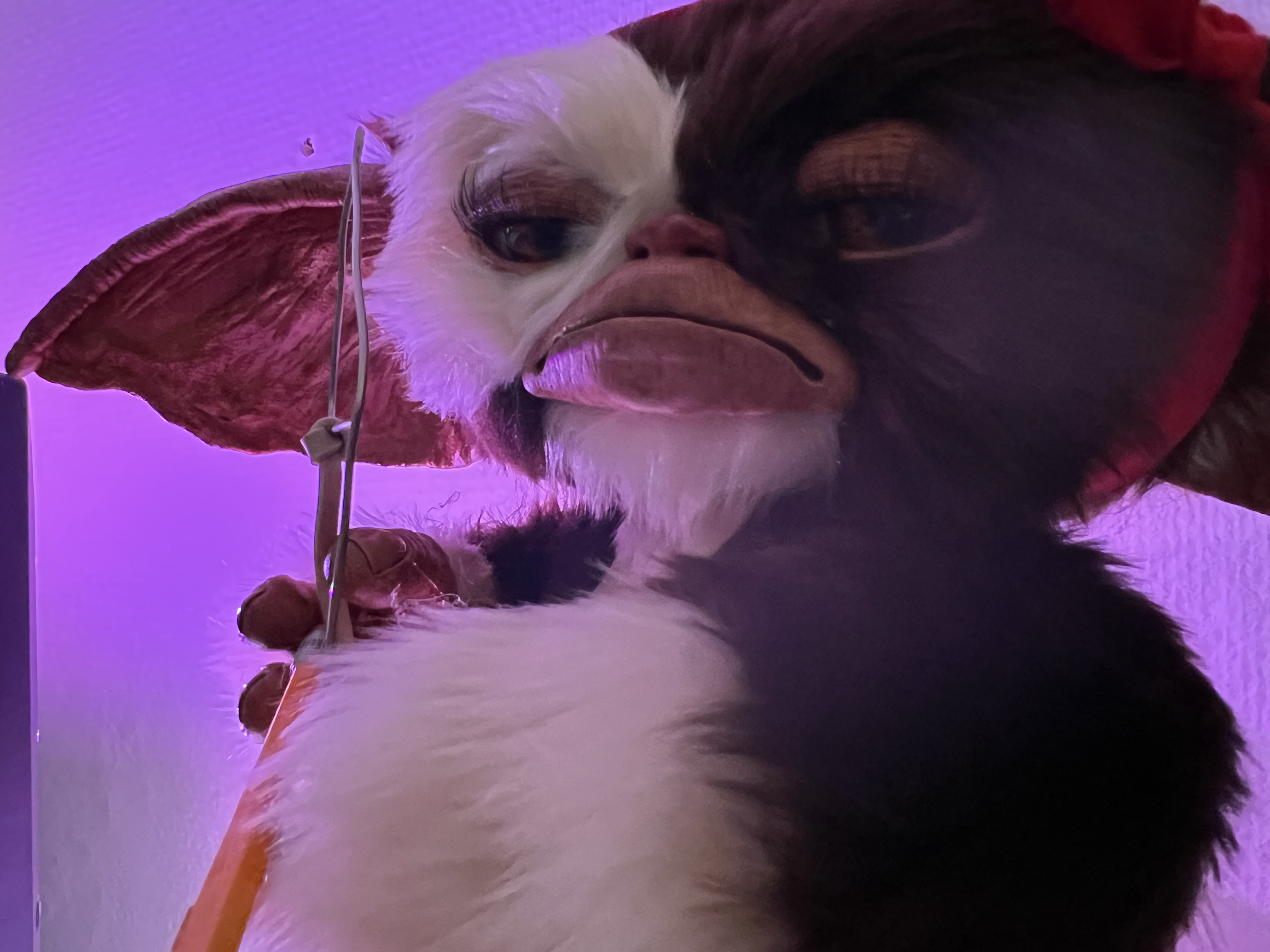 MogwaiMaker main photo