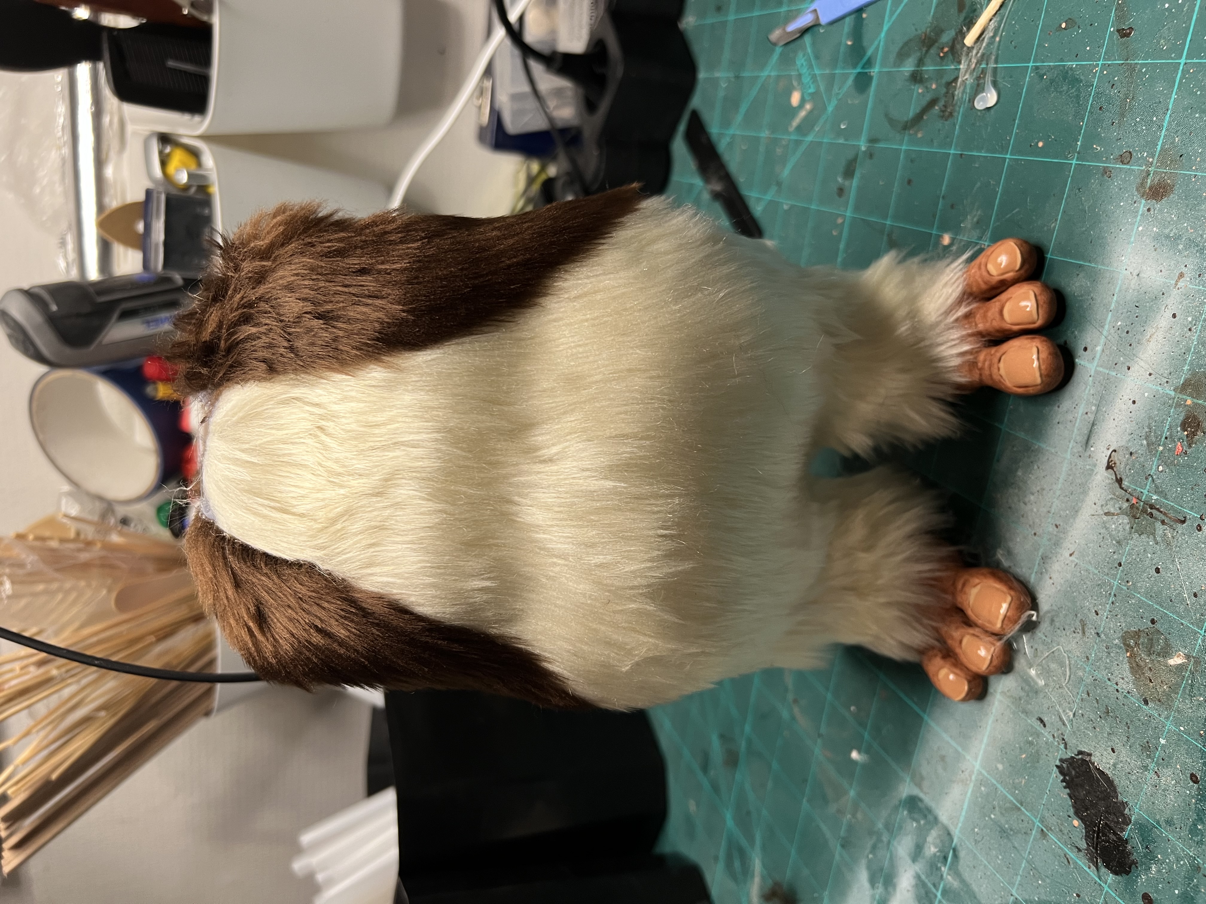 Fur & detail